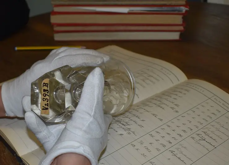 Erstcheck von Museumsbeständen zur Ermittlung von NS-Raubgut