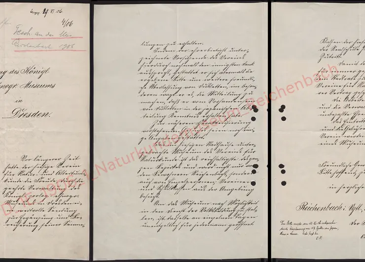 Provenienz und Geschichte der Ethnologischen Sammlung Mylau/Reichenbach